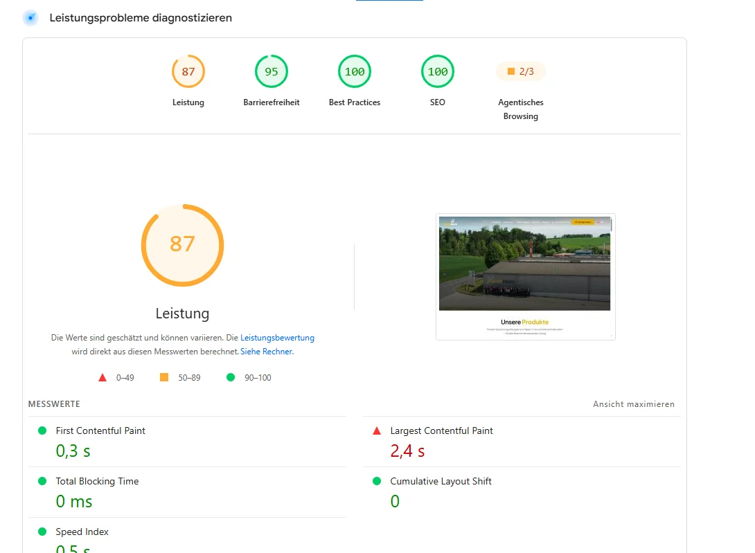 PageSpeed Insights Bericht für Flexopack Verpackungen — vier Score-Ringe